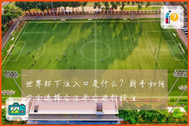 世界杯下注入口是什么？新手如何安全选择合法平台进行投注
