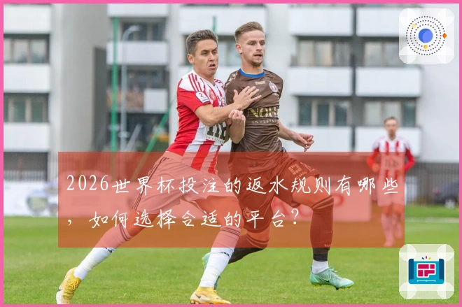 2026世界杯投注的返水规则有哪些，如何选择合适的平台？