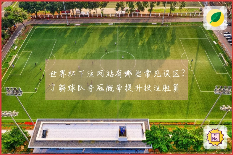 世界杯下注网站有哪些常见误区？了解球队夺冠概率提升投注胜算